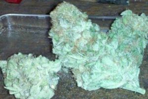 achat white diesel autofloraison