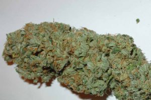 big bud reguliere pas cher