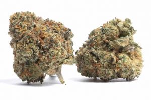 cookies kush pas cher