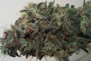 l a confidential test