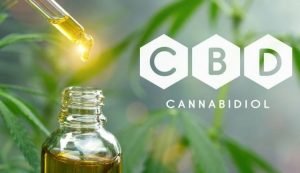 cbd-avantages-et-inconvénients