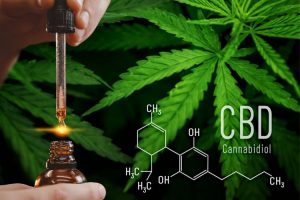 avantages-et-inconvénients-du-cbd