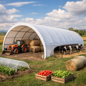 Tunnel agricole avec tracteur et récoltes